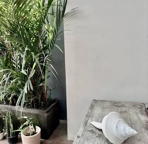 Luxury 5br - Walk To Pererenan فيلة تْشانغو